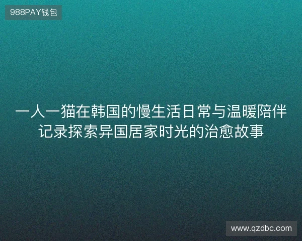 一人一猫在韩国的慢生活日常与温暖陪伴记录探索异国居家时光的治愈故事
